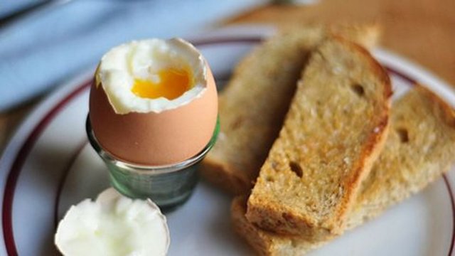 Sindirilebilirliği yüksektir, tamamına yakını vücut tarafından kullanılmakta ve vücut proteinlerine dönüşebilmektedir.