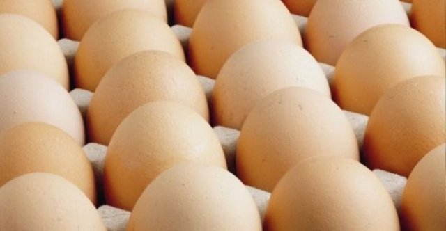 Yumurta tahıl grubundaki besinler ile tüketildiğinde (örneğin; makarnaya kırılırsa, böreklerde kullanılırsa vb.) protein kalitesini arttırmış oluruz.