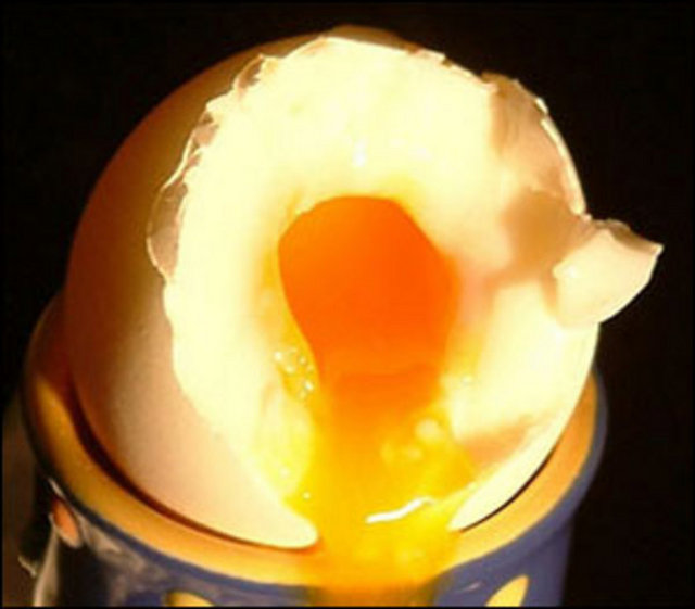 Sporcuların kullandığı bazı protein takviyelerinin yumurta beyazından yapılması boşuna değildir.