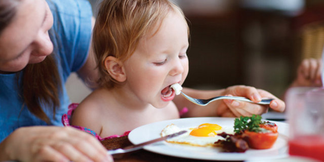 Yumurtanın yağ içeriği düşüktür. Büyük bir yumurtada 4.5 gram civarında yağ bulunur. Bunun 1.5 gramı doymuş yağ asitleri, kalan kısmı ise, doymamış yağ asitleridir.