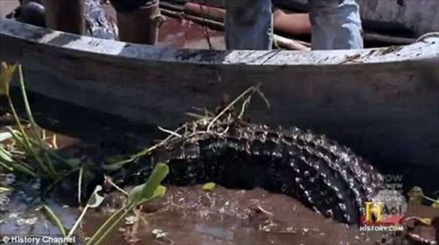Ancak avcıların yaşadığı şok bununla da kalmadı.