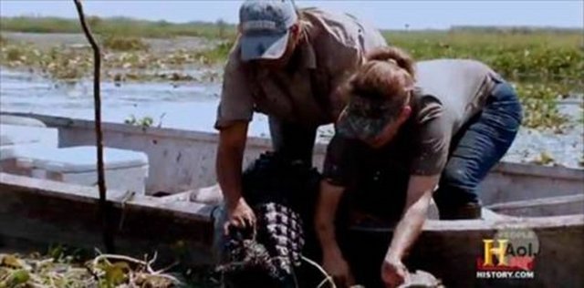 History Channel için "Bataklık İnsanları" adlı şovu çeken iki kadın avcı, suyun üzerindeki devasa "ölü" timsahı gördüklerinde, onu botlarına çekerek incelemek istediler.