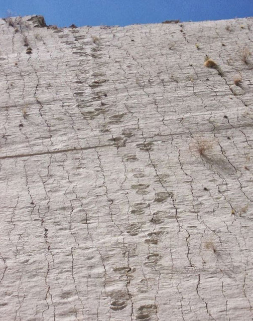 Çimento fabrikasına ait olan arazide bulunan duvarı görmek için dünyanın dört bir yanından ziyaretçiler geliyor.