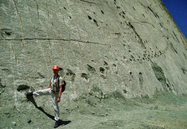 Dinazorların bu diklikteki bir duvara tırmanamayacağını belirten bilimadamları, "Burası daha önce düz bir yerdi.Tektonik levhaların hareketi sonucunda düz olan bu yer bir duvar gibi dikey duruma geçmiş"