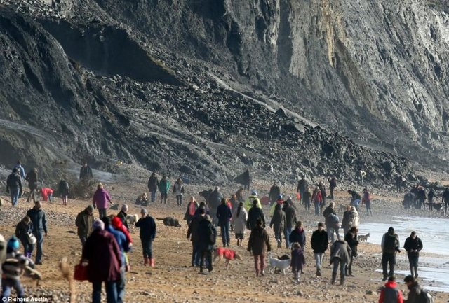 Hal böyle olunca dünyanın her yerinden gelen fosil avcıları da buraya akın gitti . -