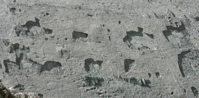 68 milyon yıl önce binlerce dinozor, o zamanlar göl kenarı olan bu alana yiyecek bulmaya gelmişler ve bu inanılmaz değerli ve önemli izleri bırakmışlar.