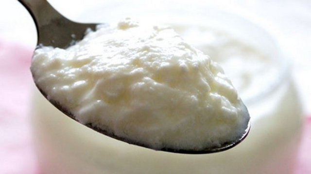 Yoğurt
