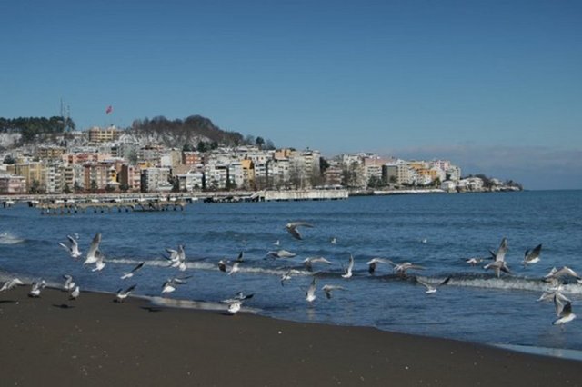 Ordu'nun modern ilçesi Ünye'yi ziyaret ettiğimde hayran kalınası doğası, denizi, çağdaş halkı ile nefis lezzetleri ile kendisine hayran bırakmıştı.