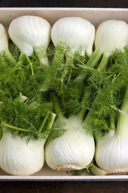 Rezene