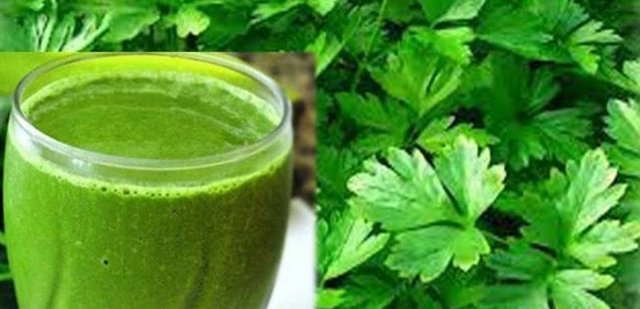 Maydanoz:  - Vücuttan ödemi atarak, dolaşımın düzenlenmesinde yardımcıdır.