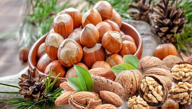 Ceviz-badem-fındık:  - Q-3 damarları genişleterek, kan akımı hızını arttırır, damarları rahatlatır.