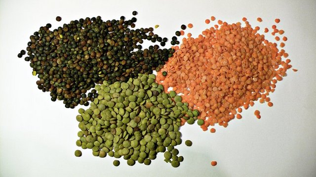 Mercimeğin de protein alımı için önemli olduğu, her gün en az 2 öğüne protein içeren gıda eklenmesi gerektiği vurgulandı.