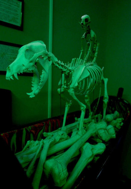 ÖLÜM MÜZESİ! - Organizatörlerin "Ölüm müzesi" adını verdiği müzede, sigara paketinden, televizyon kumandasına kadar çok farklı şekillerde tabutları görmek mümkün.