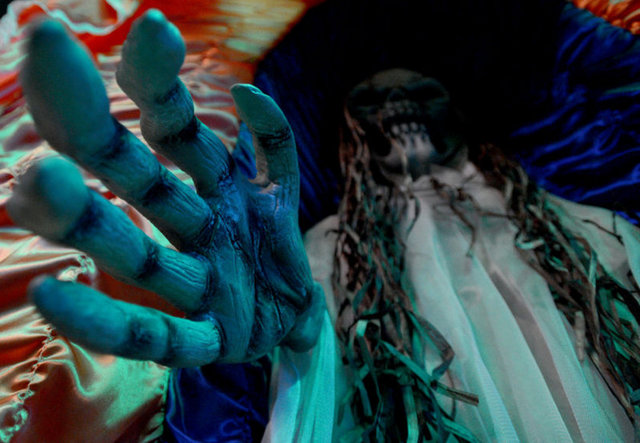 Müzenin organizatörü Aleksandır Donskoy, öldüğünde balık görünüşlü tabutla gömülmek istediğini söyledi. Donskoy, bu isteğinin akrabaları tarafından çok garip karşılandığını ifade ederek, insanların sıra dışı tabutları algılamakta zorluk çektiğini savundu.