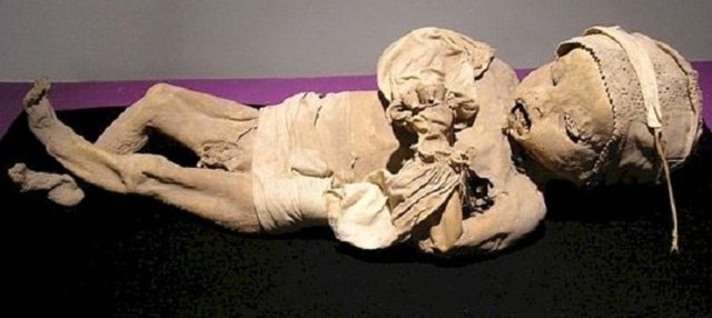 Müzede 111 tane mumyalanmış ceset bulunuyor.