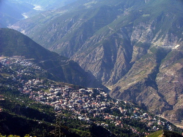 Artvin 82 bin 673