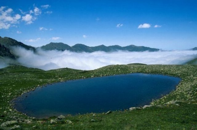 Rize 296 bin 375
