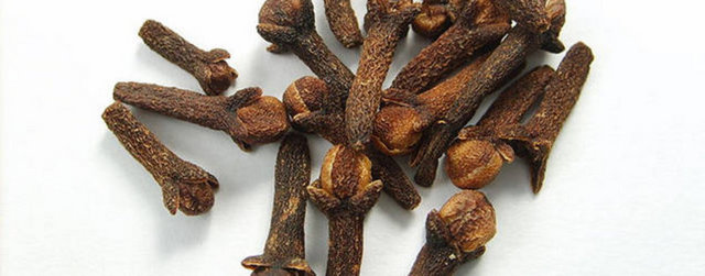 Baharat olarak iştah açar. Hazmı kolaylaştırır. Mideye ve göğse kuvvet verir.