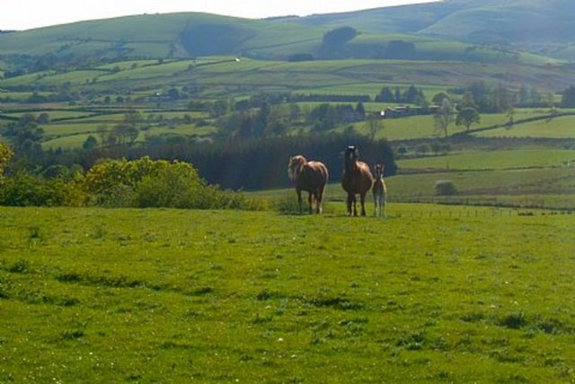 79 Birleşik Kırallık - Llanwrtyd Wells