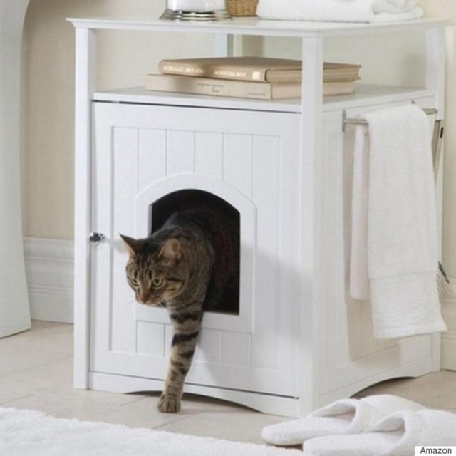 Üzeri kapalı bir kedi evi