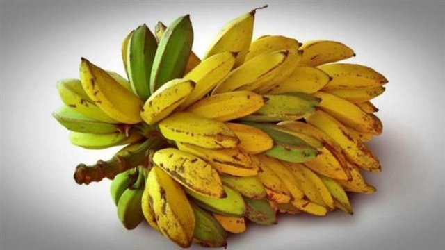 MUZ  - Mideyi seven meyvelerin başında geliyor. Ara öğünlerde birer muz yemek, midedeki yanma hissini ortadan kaldırıyor. Muz, mide enzimleri ve hücrelerinin üretimini de artırıyor.