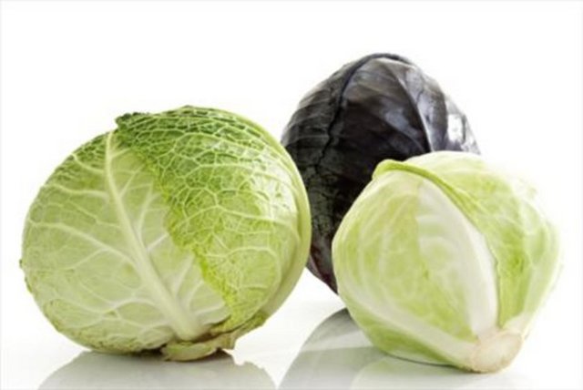Lahanada bol miktarda manganez, B6 vitamini, folik asit, omega-3 yağ asidi, B1 vitamini, B2 vitamini, kalsiyum, potasyum, A vitamini, magnezyum ve 4 gramın üzerinde protein bulunur.