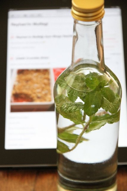 Nanenli su: Birkaç dal nane ekleyin. Hem suyun tadı güzel hale gelecek, hem kokusu! Midenize ve sindiriminize de destek verecektir.