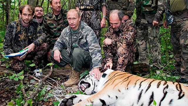 Daha önce bir kaplan avında görüntüleri bulunan Putin'i yabancı basın sert dille eleştirmişti