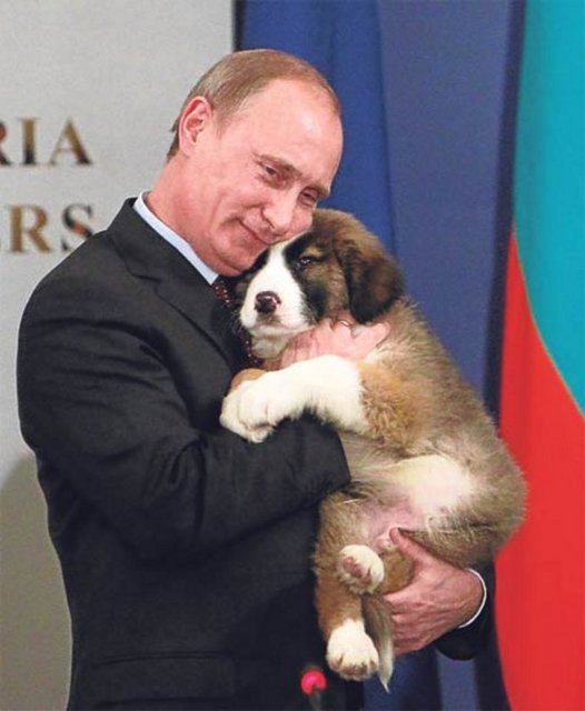 En çok köpeklere olan düşkünlüğü ile bilinen Putin'e Bulgaristan Başbakanı Boyko Borisov tarafından çoban köpeği yavrusu hediye edilmiştir