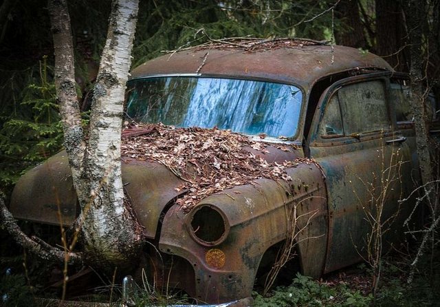 Buna benzer bir olayda daha önce Belçika'da yaşanmıştı.