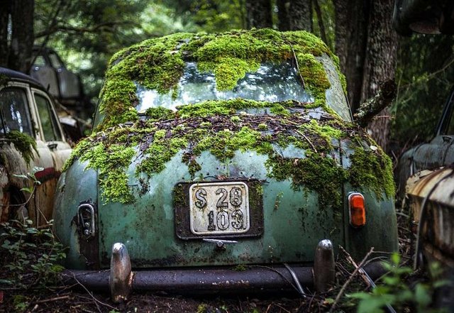 1000'in üzerinde aracın olduğu ormanda, çevre sakinleri bir süre araçları kaldırıp alanı temizlemeye çalıştı.