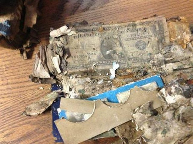 Bunlar da bazı hisse senetleri. Umarız hazır değerliyken onları kurulayıp temizleyebilir…