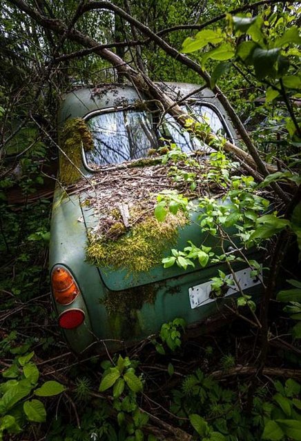 Doğa ve paslı otomobillerin oluşturduğu kontrast gerçekten görülmeye değer.