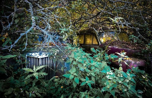 Bu nedenlerle dokunulmayan alan, yürüyüşçülerin, turistlerin uğrak mekanlarından biri haline gelmiş durumda.