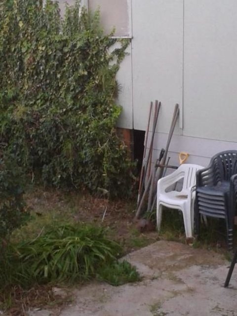 BODRUMDAN GELEN KORKUTUCU SESLERİ ARAŞTIRMAK İSTEYİNCE... - Evlerini satışa çıkarmak üzere olan bir aile, bodrum katından gelen korkutucu sesler yüzünden şaşkına döndü.