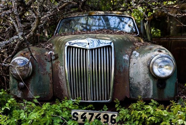 Ama bu çabaları çevrecilerden de tepki gördü.