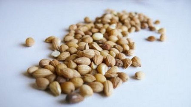 Vücuda kuvvet verir ve cinsel isteği artırır. Şeker hastalarına ve prostat şikayetlerine de iyi gelir.