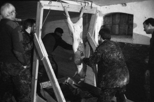 Danimarka Halk Partisi'nin eski Başkanı Pia Kjaersgaard, hayvanlara karşı acımasızca ve kabul edilemez biçimde davranıldığını söyledi.