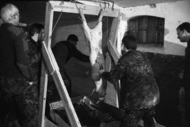 Bir İngiliz askerinin talim sırasında çektiği fotoğrafları İngiliz basınına vermesi üzerine ortaya çıkan gerçek, hayvan severleri ayaklandırdı.