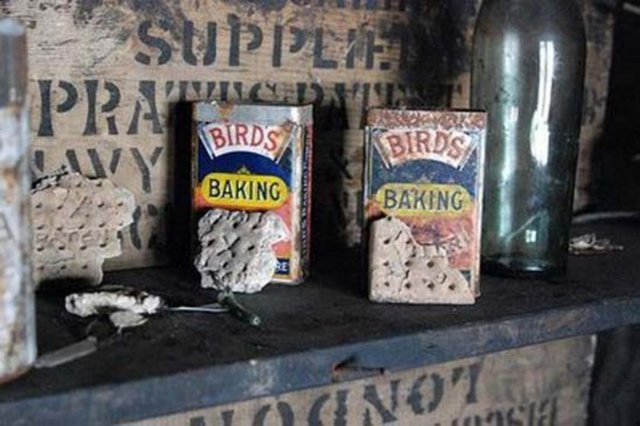 Scott'un masadaki notları, raflardaki minyatür viski şişeleri, negatif filmler, hepsi kaşiflerin bıraktığı gibi. Sanki onların geri dönmesini bekler gibi...