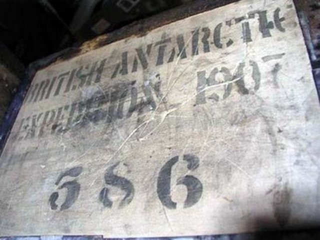 Şimdiye kadar dayanabilmiş olmalarının sebebiyse basit.