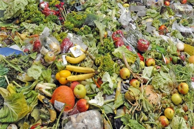 7. İhtiyacınızdan fazla yiyecek almayın  Çürümüş yiyecekleri çöpe atmakla paranızı çöpe atmak arasında fark yok.