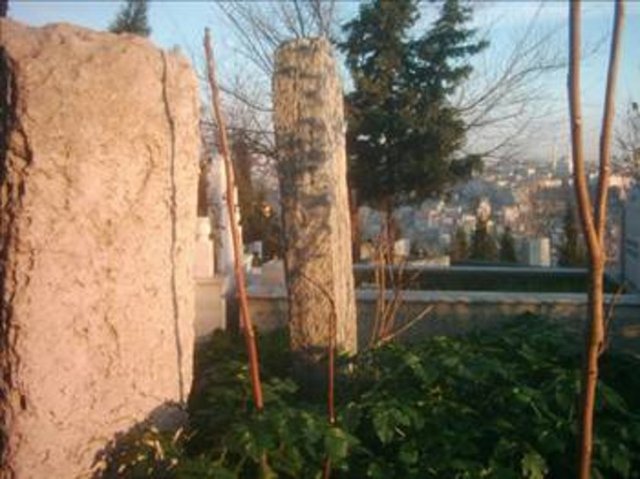 Hatta bu mezar taşlarına lanetli olduklarına inandıkları için dokunamazlarmış bile. Çünkü buraya gömülenlerden birinin geride kalan aile fertleri birer hafta arayla bilinmeyen bir hastalıktan öldüler.