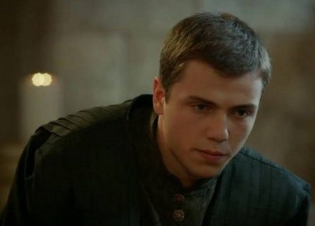 Şehzade Cihangir, tüm şehzadeler gibi eğitimini sarayda tamamladı.