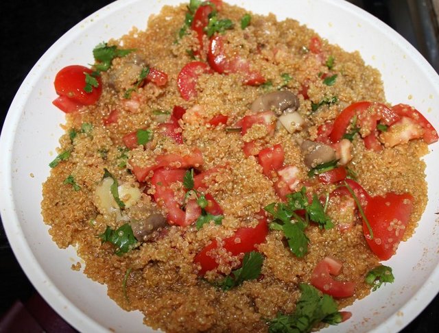 Bu bitki her türlü toprağa uyum sağlamasıyla ünlü. Kinoa makineli tarıma son derece uygun.