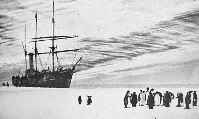 İki yıl boyunca Antartika'da buzullarda yaşamak zorunda kalan 10 kişiden 3 hayatını kaybetti, diğerleri 7 kişi ise 1917'de kurtarıldı.