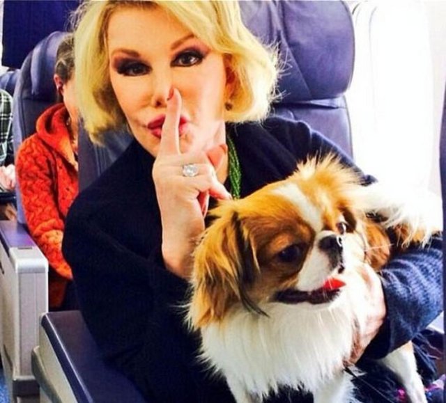 Joan Rivers da estetikten yüzünü oynatamaz hale geldi.