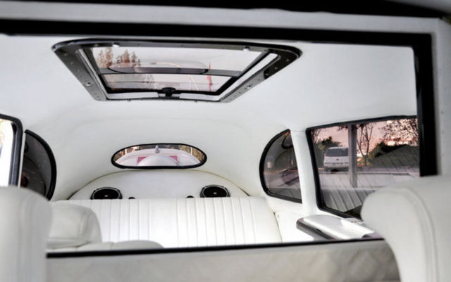 İnsanlar normalde 'vosvos' gördüklerinde hafif bir tebessüm ederler. Ancak bunu görünce hayretle karşılıyor.