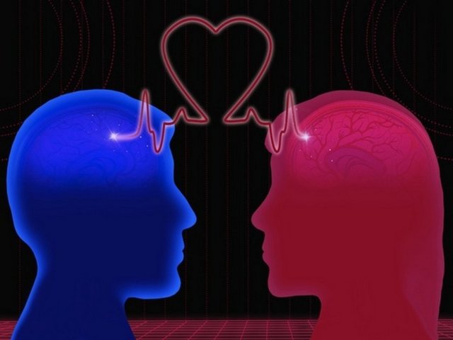 "Hormonları beynimiz kontrol ediyor. Beynimizdeki aşk işlevini genlerimiz kontrol ediyor. Dolayısıyla aşkın temelinde aslında genlerimizin kontrol ettiği sinir hücrelerimizin olduğunu söyleyebiliriz."