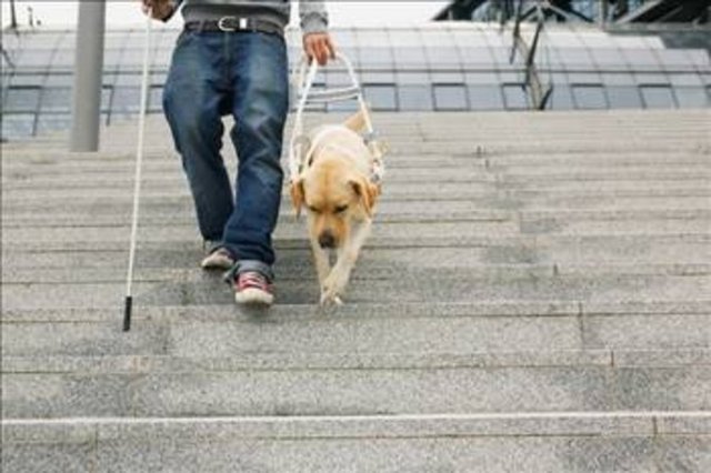 Yanı sıra düzenli olarak gece çalışan hemşirelerde meme kanserinin arttığı tespit ediliyor. Melatonin meme tümörlerinin büyümesini de azaltıyor, kalp ve damar hastalıklarını yavaşlatıyor, üreme fonksiyonunu artırıyor. Depresyonlu kişilerde bu hormon düşük